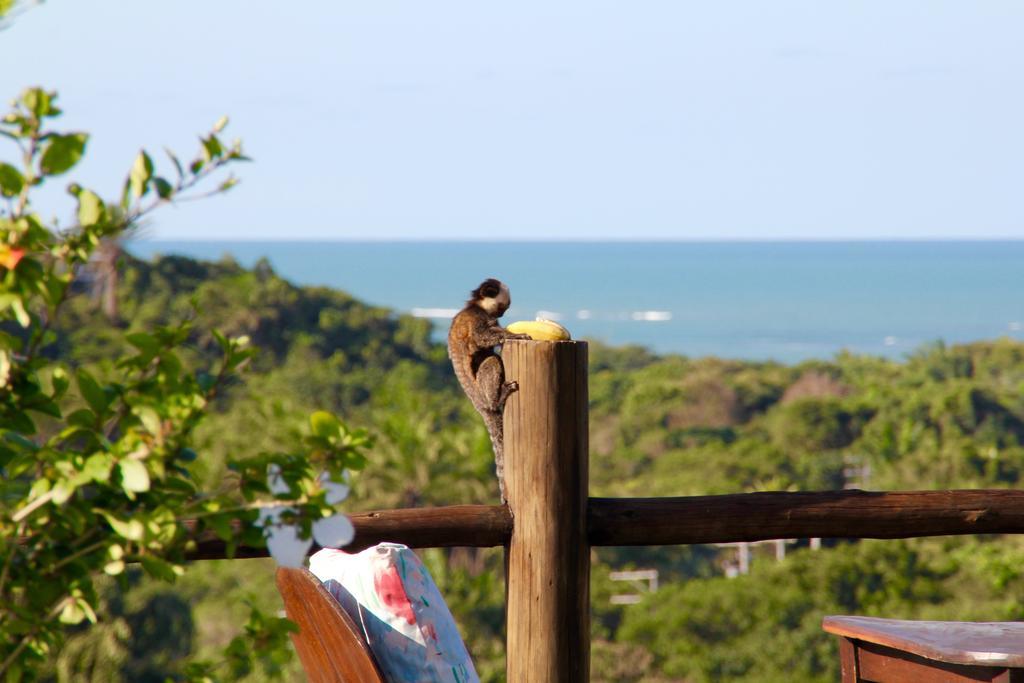 Pousada Mar A Vista トランコーゾ エクステリア 写真